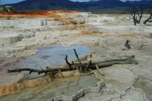 mammoth hot springs.jpg